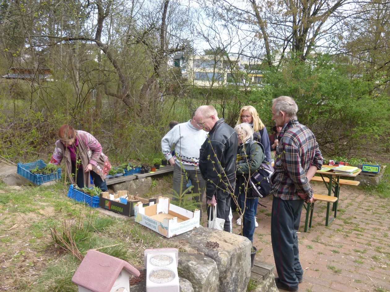 Pflanzenbörse im BN-Garten
