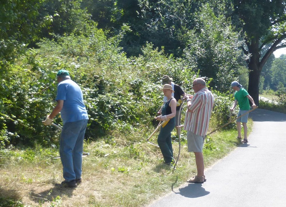 Sensen-Mähkurs am BN-Garten Sensen-Mähkurs am BN-Garten