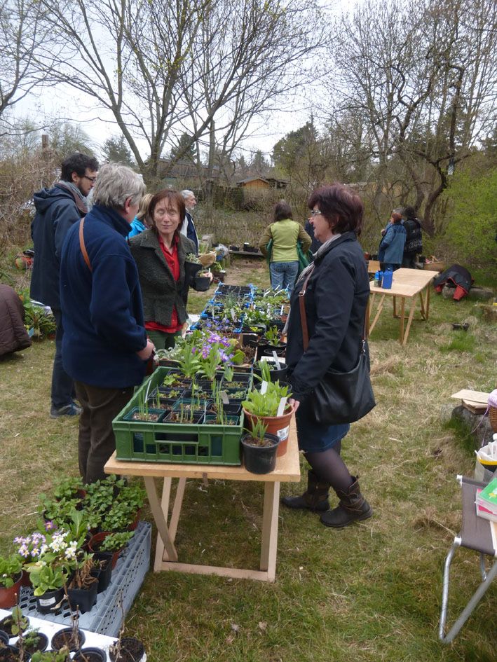BN-Pflanzenbörse 2015 BN-Pflanzenbörse 2015