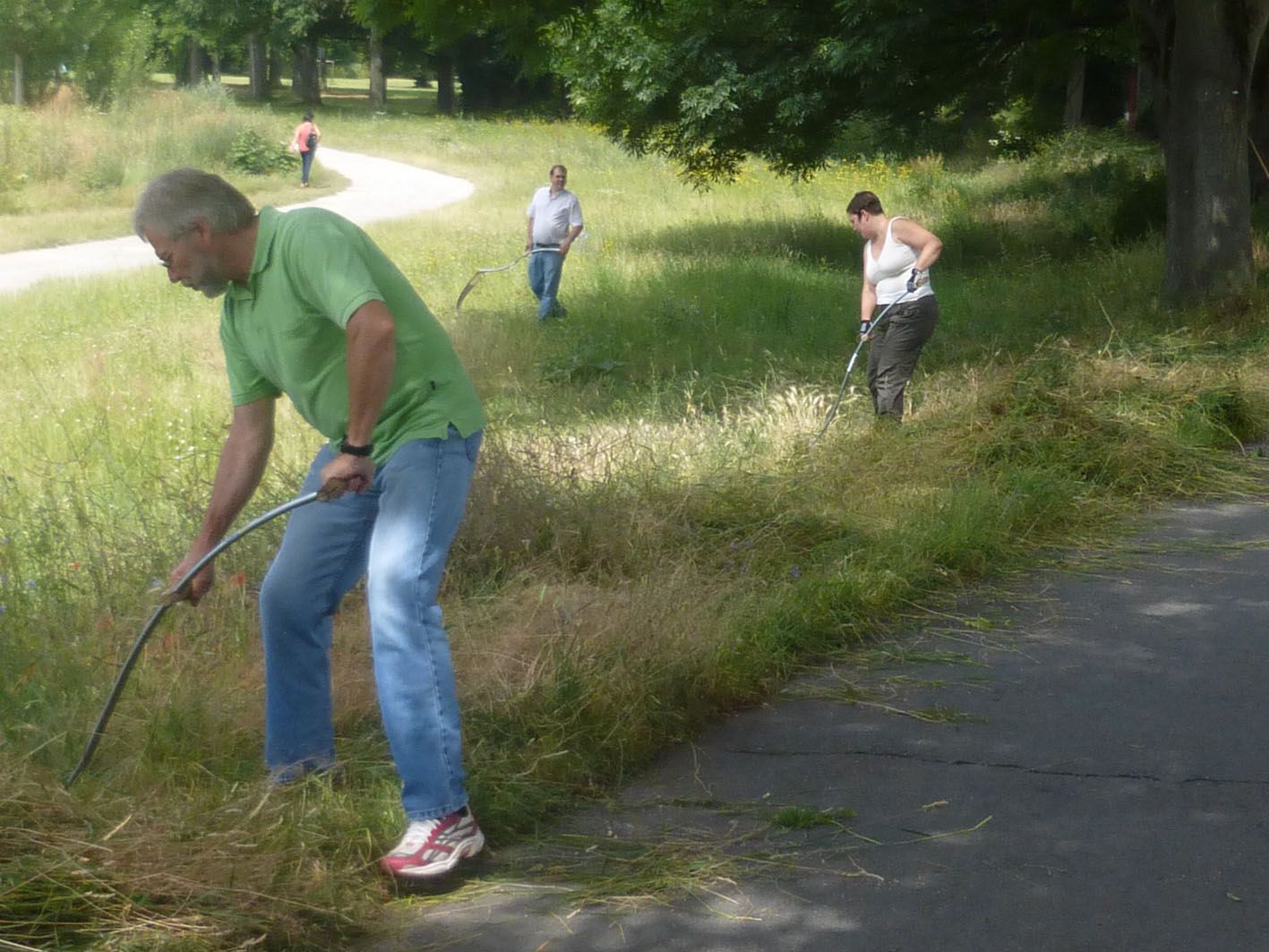 Sensen-Mähkurs am BN-Garten Sensen-Mähkurs am BN-Garten