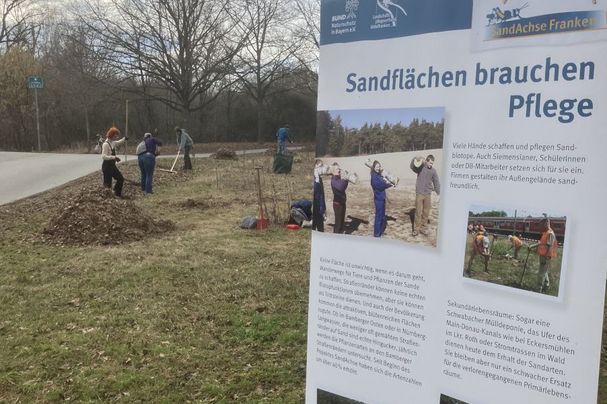 Biotoppflege 2026 am Quellensteg Biotoppflege Fürth Sandachse BUND Naturschutz