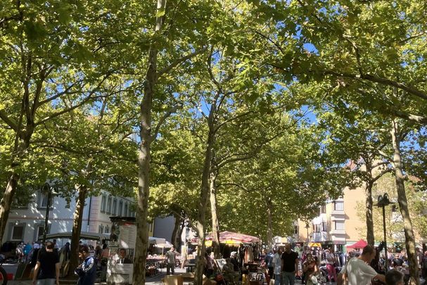 Löwenplatz in Fürth - Besser leben unter Bäumen  Löwenplatz, Fürth, besser leben, Bäume