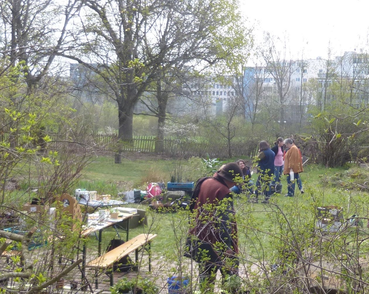 Pflanzenbörse im BN-Garten