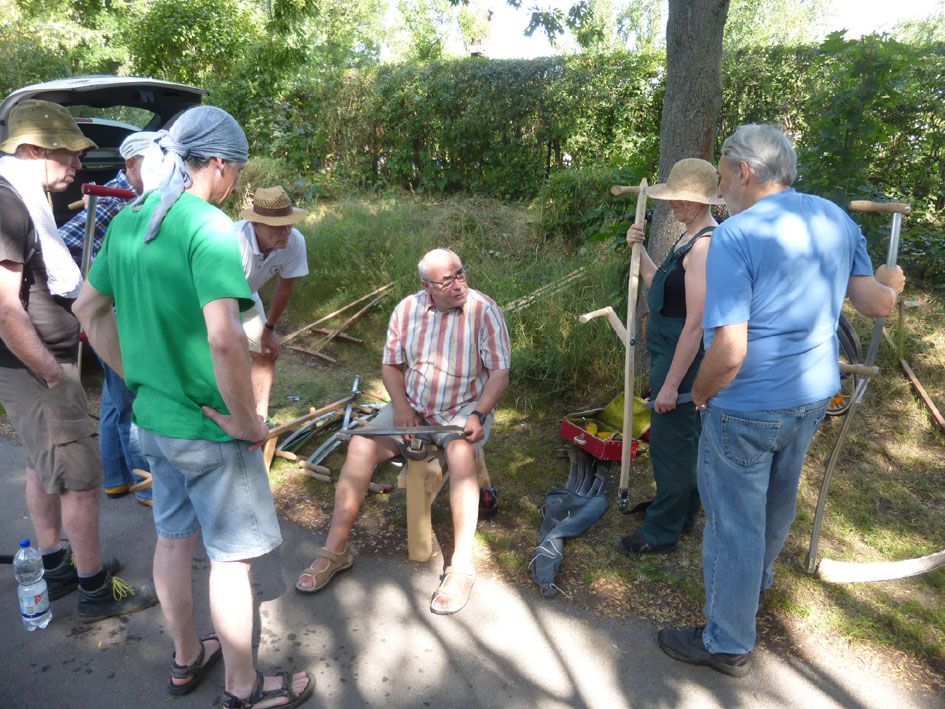 Sensen-Mähkurs am BN-Garten Sensen-Mähkurs am BN-Garten