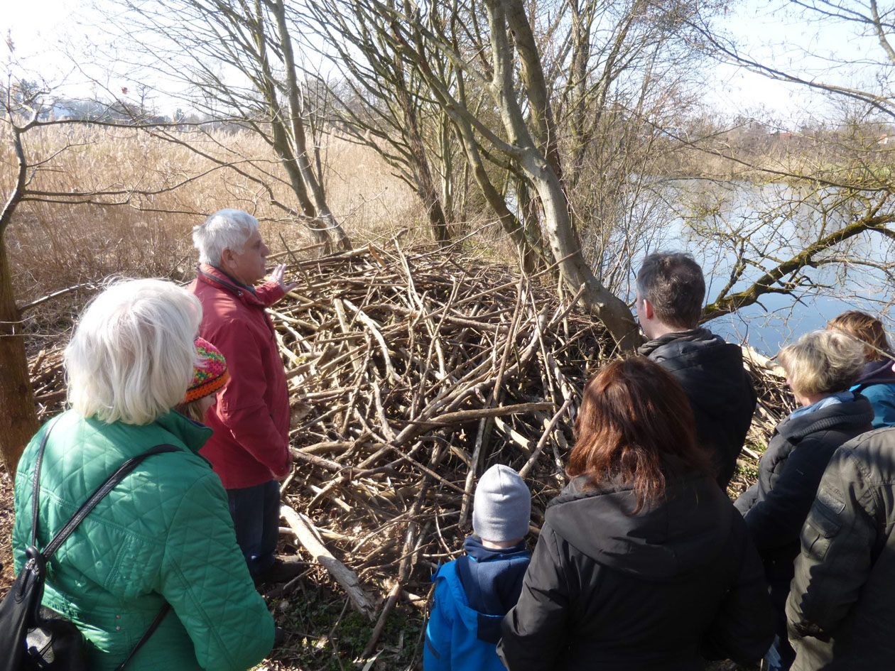 Führung "Auf den Spuren der Biber" bei Vach Führung "Auf den Spuren der Biber" bei Vach