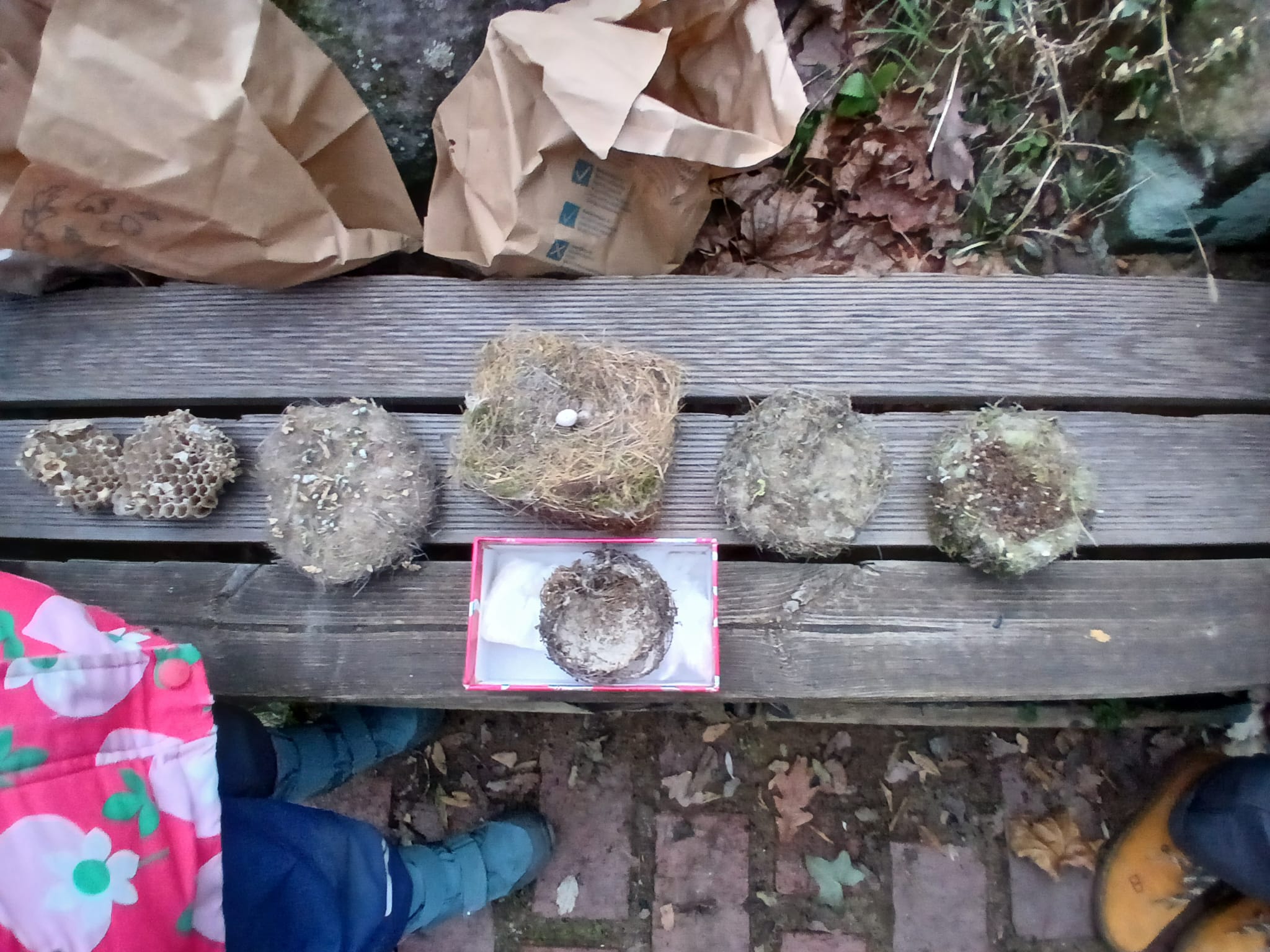 BUND Naturschutz Kindergruppe Fürth