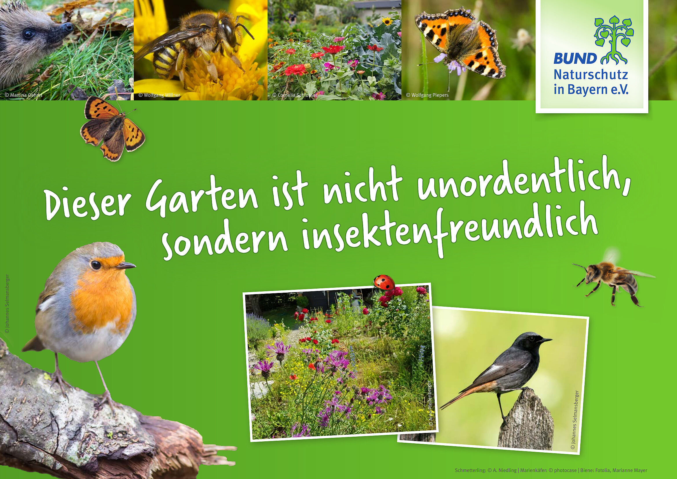 Dieser Garten ist nicht unordentlich
