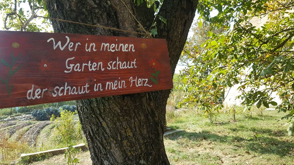 Wer in meinen Garten schaut, ...