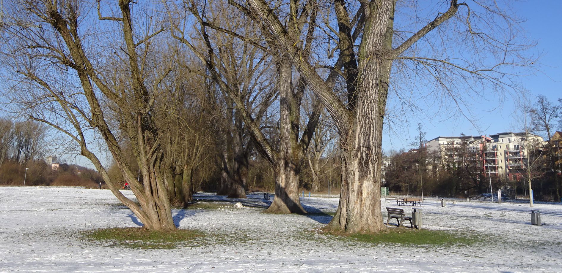 Winterliche Talauen in Fürth Winterliche Talauen in Fürth